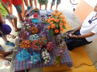 dscn2911 dscn2911