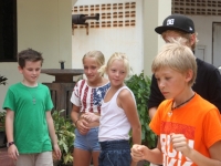 img_8666 img_8666