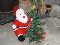 img_4624 img_4624