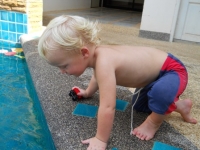 Img-1 Img-1