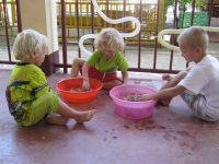 img_0817 img_0817