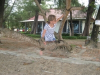 img_0968 img_0968
