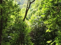 img_2408 img_2408