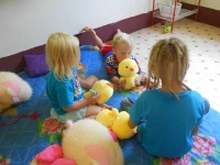 dscn1120 dscn1120