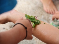 img_4957 img_4957