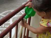 sam_0051 sam_0051