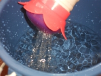 sam_0061 sam_0061