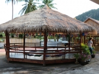 img_1433 img_1433