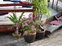 img_1444 img_1444