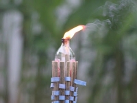 img_0342 img_0342