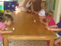 img_1256 img_1256