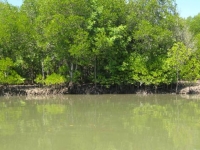 img_4330 img_4330