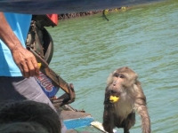 img_4338 img_4338
