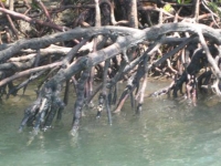 img_4357 img_4357