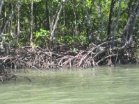 img_4359 img_4359