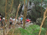 img_6529 img_6529