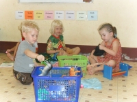 sam_1162 sam_1162