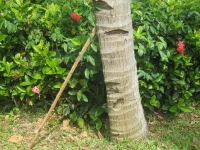 img_0515 img_0515