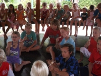 sam_1261 sam_1261