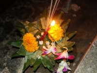 img_7308 img_7308