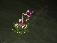 img_7313 img_7313