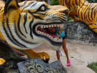 dsc_0232 dsc_0232