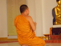 dscn0210 dscn0210