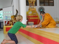 dscn0219 dscn0219