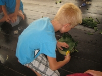 img_1222 img_1222