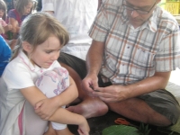 img_1223 img_1223