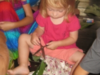 img_1227 img_1227