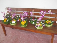 img_1241 img_1241