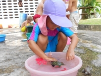 dscn1629 dscn1629