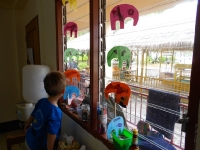 dscn1641 dscn1641