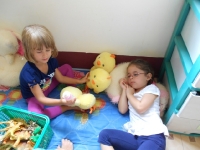 dscn1694 dscn1694