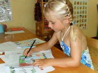 Img-10 Img-10