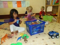 Img-7 Img-7