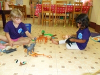 Img-8 Img-8