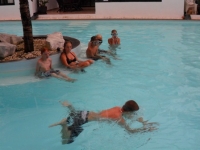 Img-10 Img-10