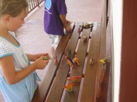 img_0857 img_0857