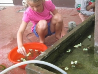 img_0943 img_0943