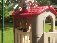 img_0947 img_0947
