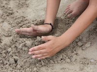 img_6672 img_6672