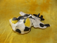 img_6741 img_6741