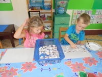 dscn1535 dscn1535