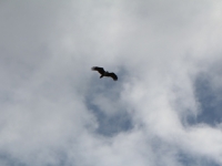 img_1913 img_1913