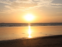 img_4161 img_4161