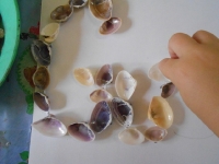 dscn1116 dscn1116