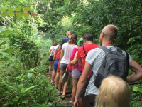 Djungeltrekking Djungeltrekking