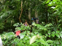 dscn1508 dscn1508